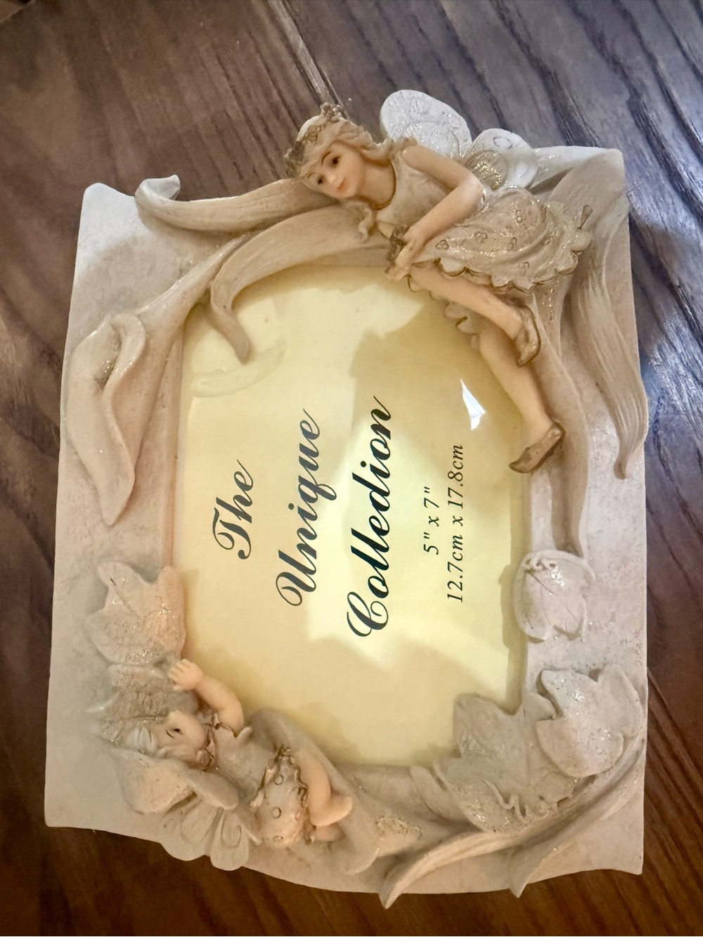 Whimsical Fairy Picture Frame - Vintage Fantasy 5x7 Photo Frame